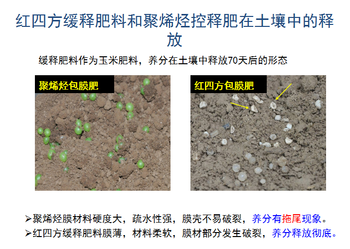 草莓视频官方网站缓释肥释放肥效展示