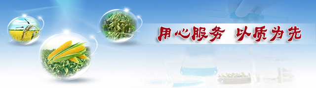 草莓视频官方网站草莓APP官方版下载网址进入在线厂家用心服务·以质为先