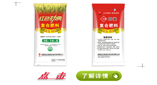草莓视频官方网站草莓APP官方版下载网址进入在线