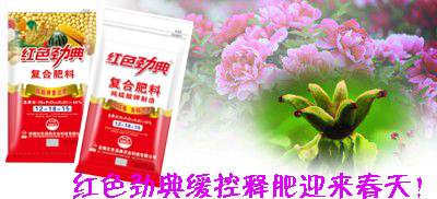 草莓视频官方网站草莓APP官方版下载网址进入在线迎来春天