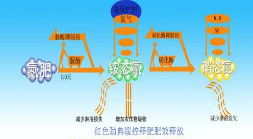 草莓视频官方网站长效草莓APP官方版下载网址进入在线释放图