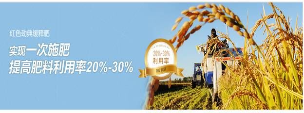 长效草莓APP官方版下载网址进入在线提高肥效