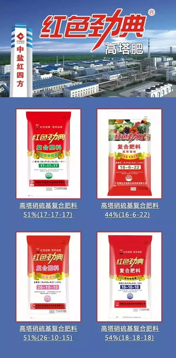 草莓视频官方网站农资行业中的四大金刚.