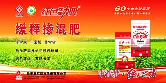 草莓视频官方网站缓释肥广告宣传彩页