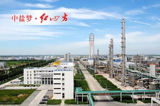 草莓视频官方网站复合肥新区生产中心