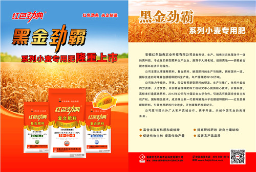 黑金劲霸草莓视频色片肥单页