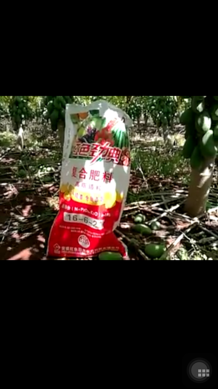 草莓视频官方网站硫酸钾复合肥44%（16-6-22）