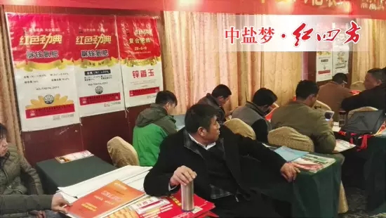 草莓视频官方网站复合肥品牌经销商陆续进场