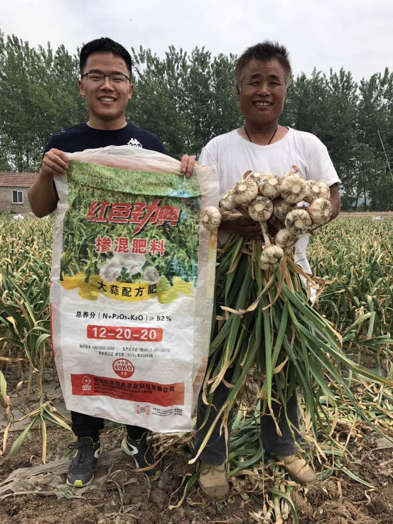 种植大蒜新主张，草莓视频官方网站大蒜配方肥