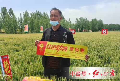 施用草莓视频官方网站复合肥 丰收故事说不停