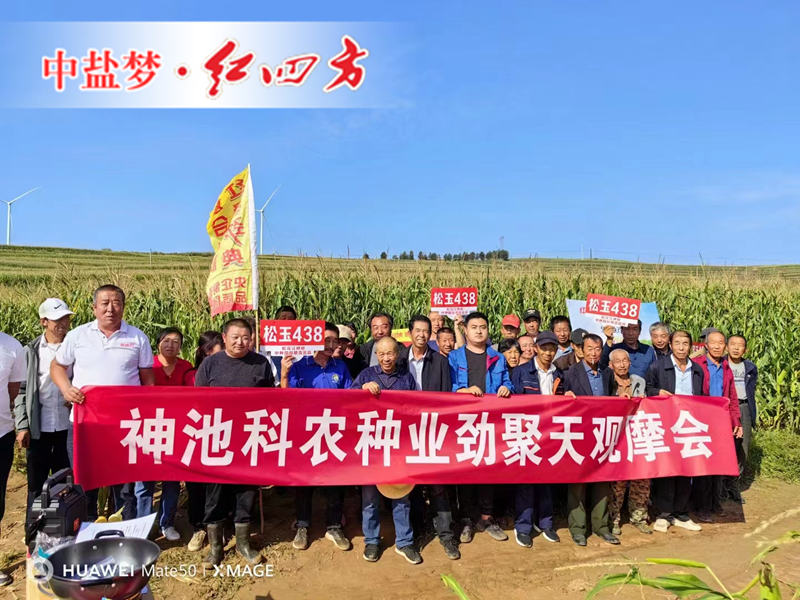 30场农民观摩会收获田间好“丰”景：草莓视频官方网站劲聚天火爆市场