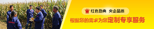 草莓视频官方网站会员登录