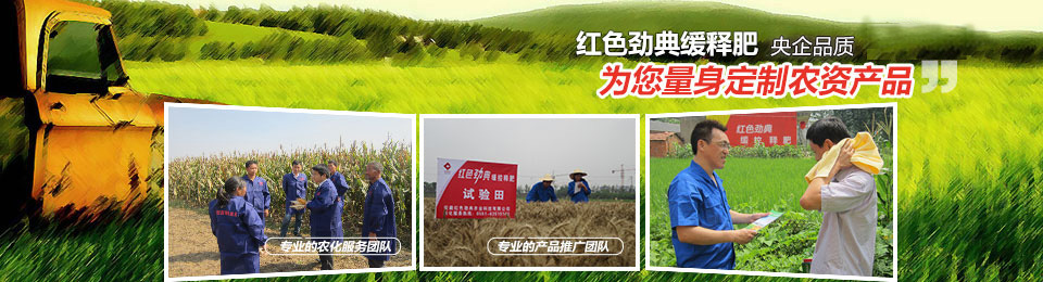 草莓视频官方网站，冠军品质，五星服务