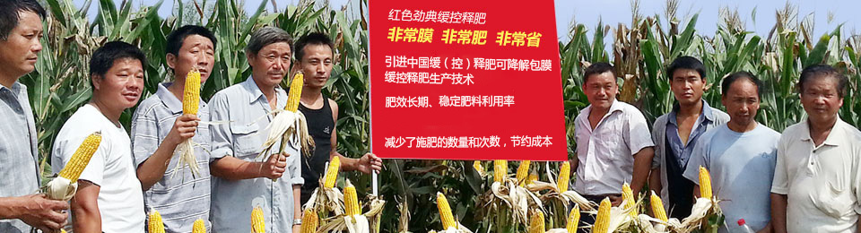 草莓视频官方网站缓释肥，国际领先技术